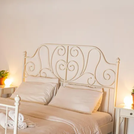 Anemon Koleksiyon Zajazd