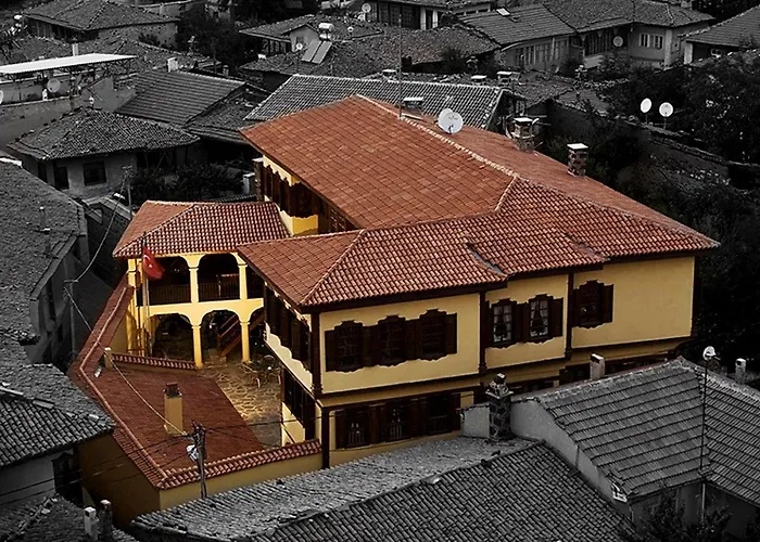 Herberg Anemon Koleksiyon Kula