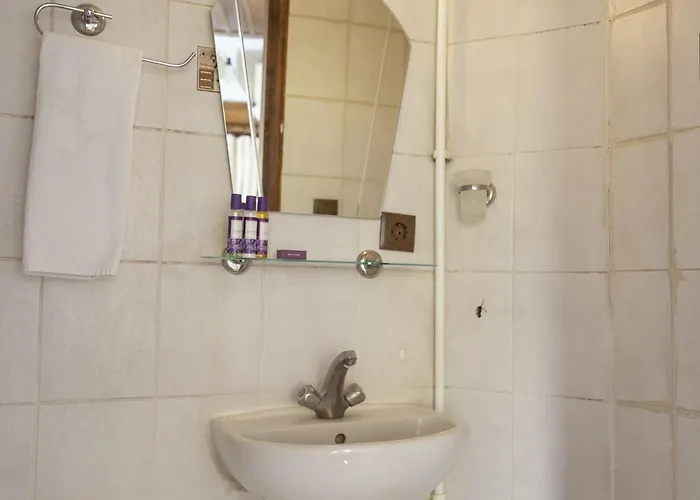 Herberg Anemon Koleksiyon