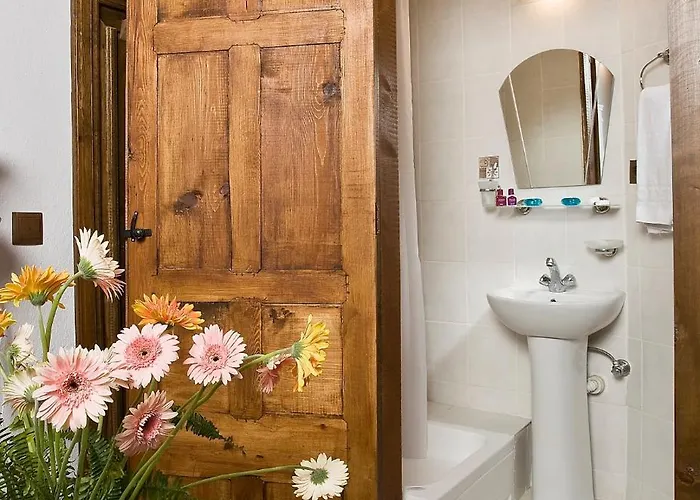 Anemon Koleksiyon אורחן