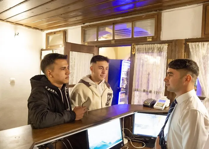 Anemon Koleksiyon 2*