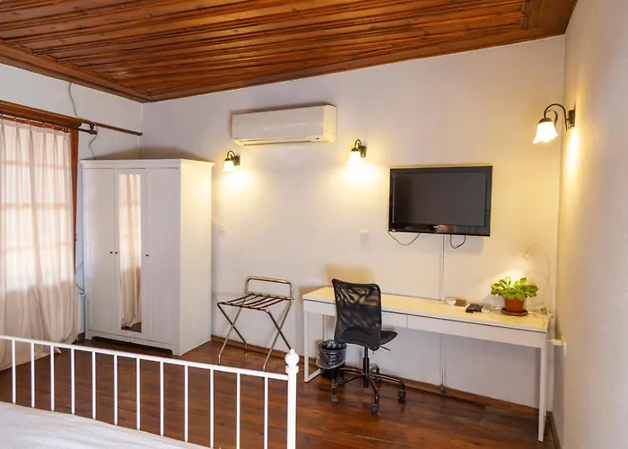 Anemon Koleksiyon 2*